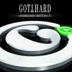 Gotthard: "Domino Effect" – 2007