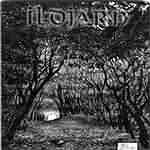 Ildjarn: "Forest Poetry" – 1996