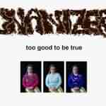 Onanizer: "Too Good To Be True" – 2005