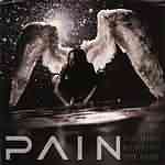 Pain: "Nothing Remains The Same" – 2002