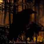 Raventale: "  " – 2006