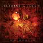 Searing Meadow: "Corroding From Inside" – 2005