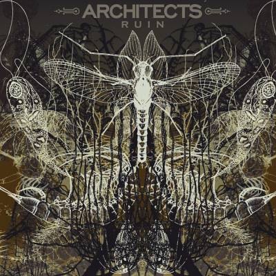 Architects: "Ruin" – 2008