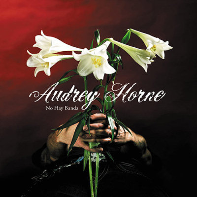 Audrey Horne: "No Hay Banda" – 2005
