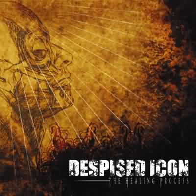 Despised Icon: "The Healing Process" – 2005