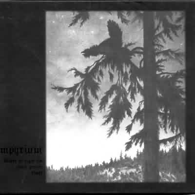 Empyrium: "Where At Night The Wood Grouse Plays" – 1999