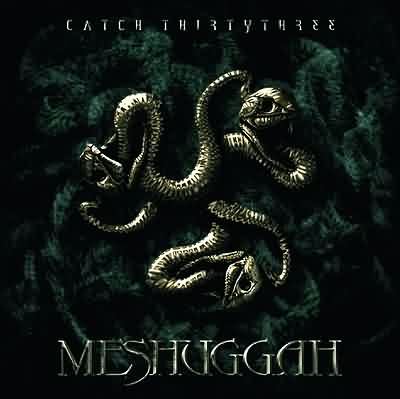 Meshuggah Destroy Erase Improve Torrent 320