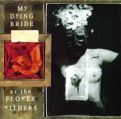 My Dying Bride: "As The Flower Withers" – 1992