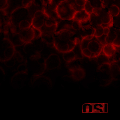 OSI: "Blood" – 2009