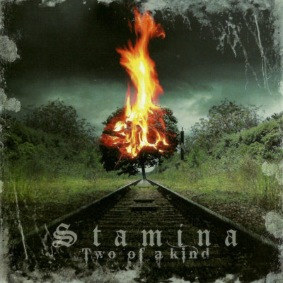 Stamina: "Two Of A Kind" – 2010